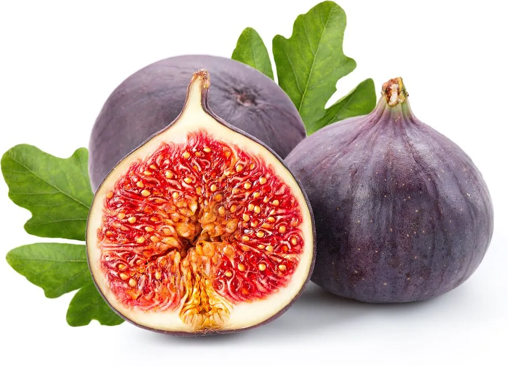 Մեղրիի թուզ