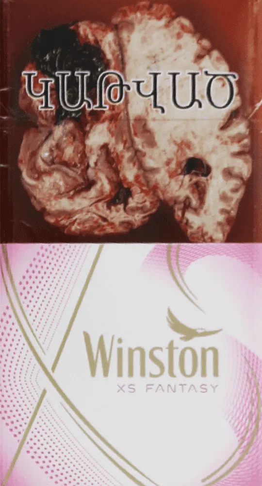Ծխախոտ «Winston XS Fantasy»