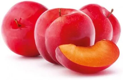 Սալոր ճապոնական