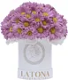 Ծաղկային կոմպոզիցիա «Latona Kostaroma»