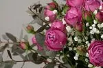 Էքսկլյուզիվ կոմպոզիցիա «SAS Flowers by Villani»