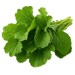 Կանաչի