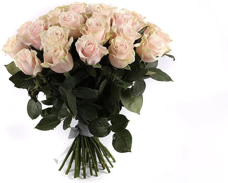 Ծաղկեփունջ «My Rose Caramelo» 35 հատ