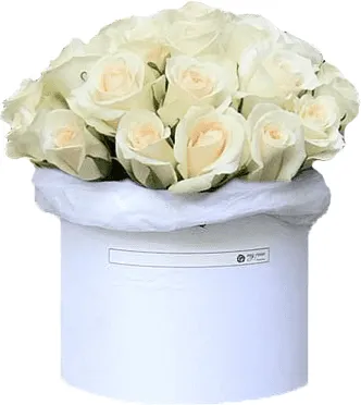 Ծաղկային կոմպոզիցիա «My Rose Angelo»