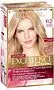 Մազի ներկ «L'Oreal Paris Excellence» №10.21