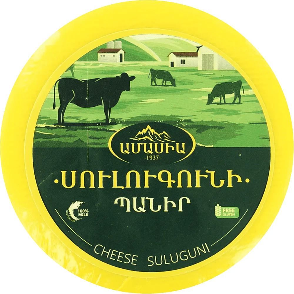 Պանիր սուլուգունի «Ամասիա»