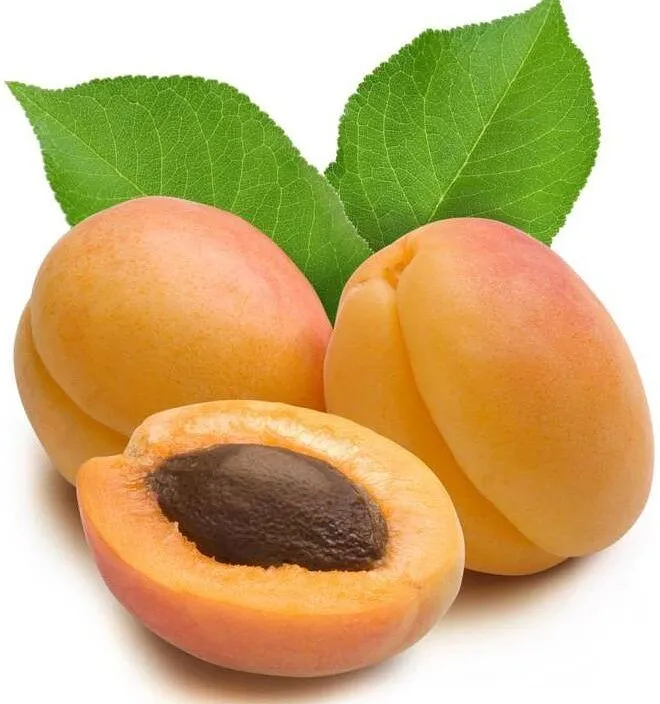 Ծիրան Արջանաբատ