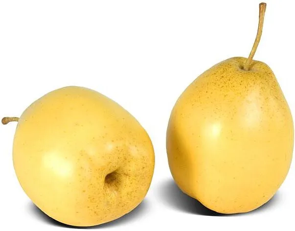 Տանձ մայիսյան