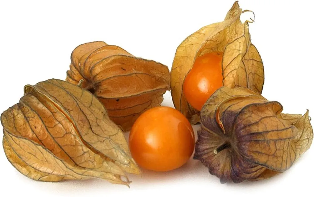 Ֆիզալիս