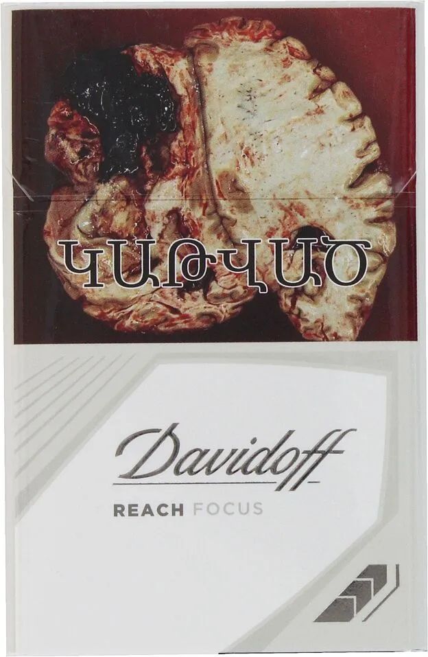 Ծխախոտ «Davidoff Rich Focus»