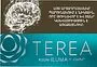 Տաքացվող ծխախոտի գլանակներ «TEREA TURQUOISE»
