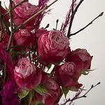 Էքսկլյուզիվ կոմպոզիցիա «SAS Flowers by Villani»