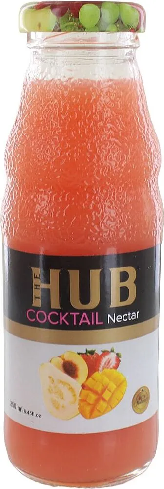 Նեկտար մրգային խառնուրդ «HUB» 250մլ