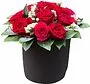 Ծաղկային կոմպոզիցիա «My Rose»
