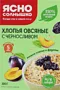 Փաթիլներ վարսակի «Ясно Солнышко» 300գ