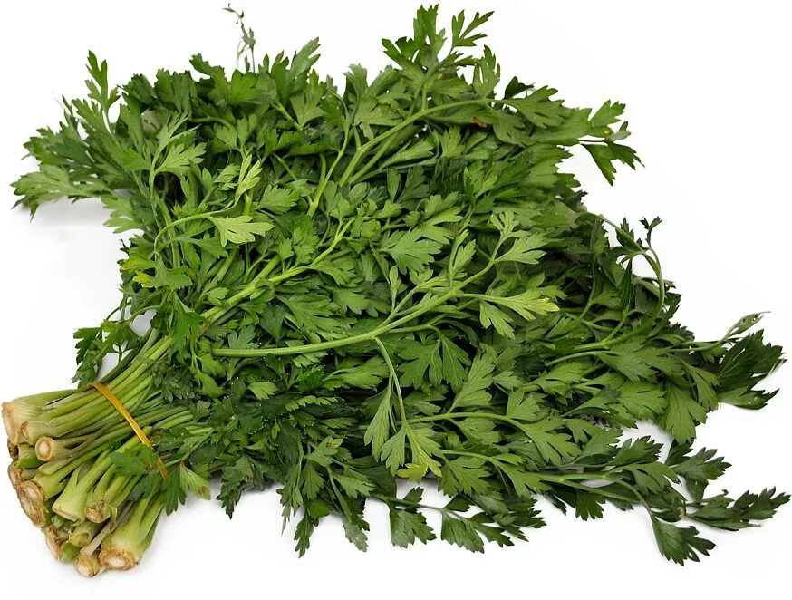 Մաղադանոս