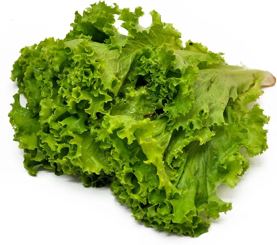 Հազար գանգուր
