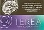 Տաքացվող ծխախոտի գլանակներ «TEREA PURPLE WAVE»
